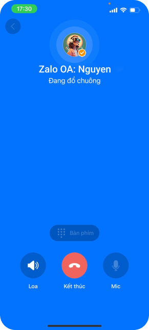 Màn hình cuộc gọi DEMO